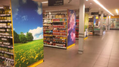 Forex - Afbeelding 2