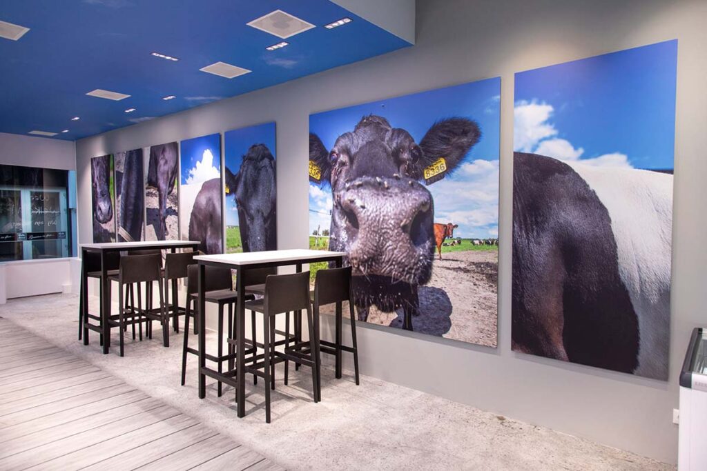 De_Witte_Lakenvelder_01