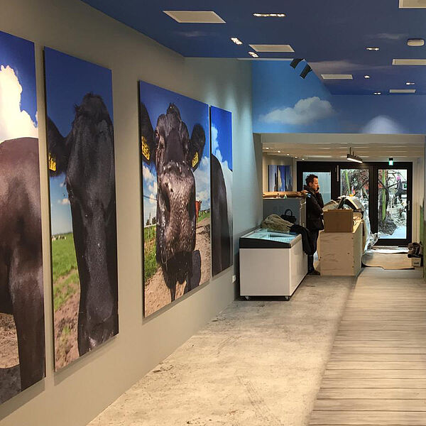 csm_De_Witte_Lakenvelder_004_09853eee59