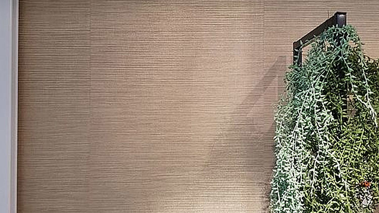 csm_DINOC-2_fedaacb0fd