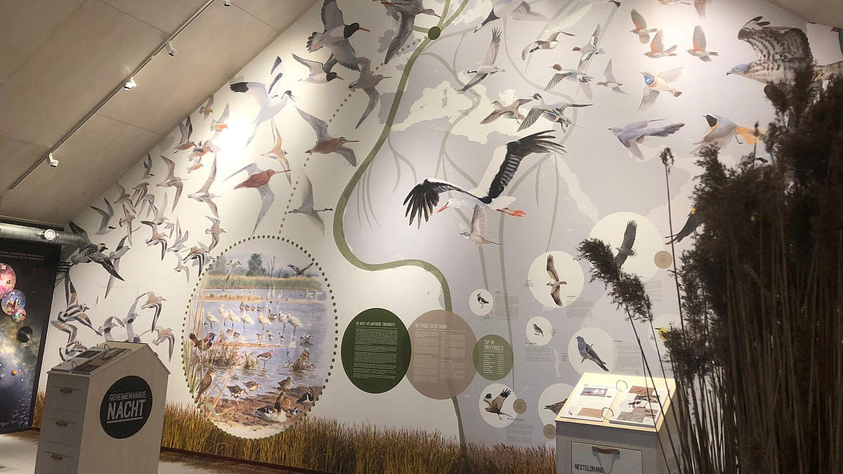 csm_airtex-3_a1f2e398f8