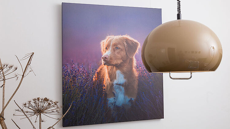 csm_canvas_3_58687a115c