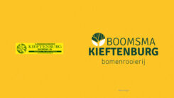 Re-styling - Afbeelding 2