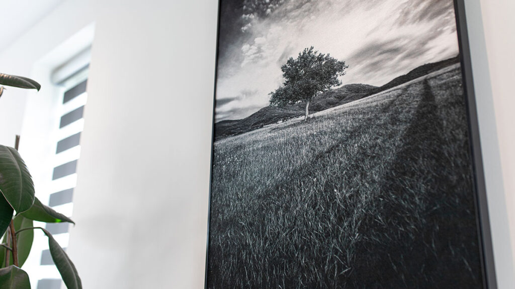 Alleen maar corona 3